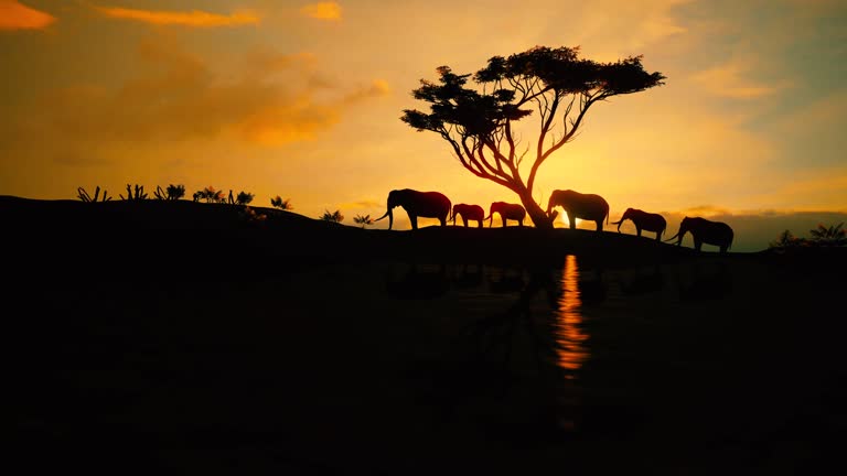 Serengeti National Park